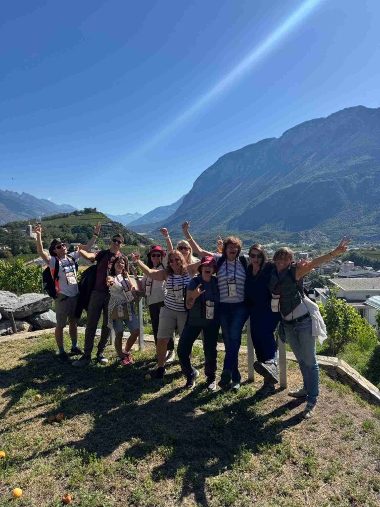 Traubenwanderung in Siders
